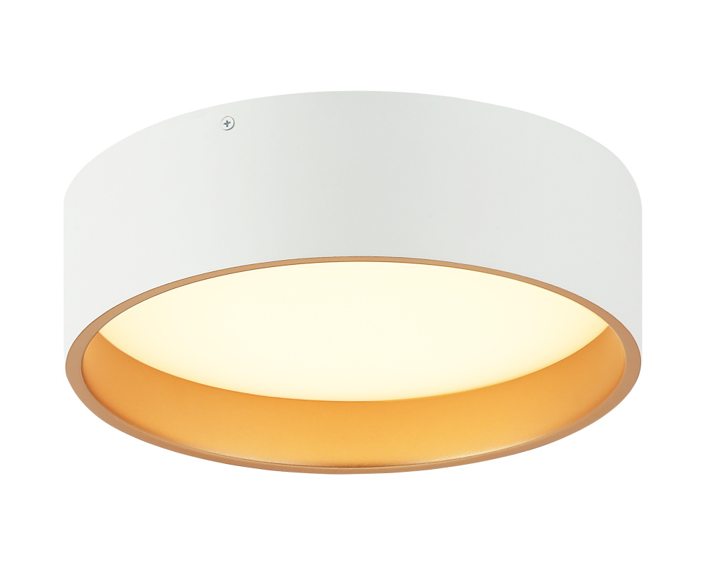 Novalee Matte White Flush Mounts