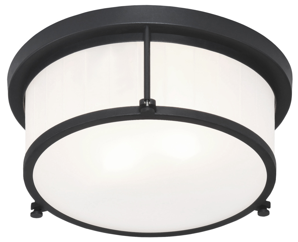 Caisse Claire Matte Black Ceiling Mount