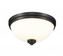 Bowl Flush Mounts