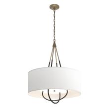 Hubbardton Forge - Canada 104230-SKT-84-10-SF2811 - Loop Pendant