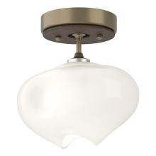 Hubbardton Forge - Canada 121372-SKT-84-05-FD0710 - Ume 1-Light Semi-Flush
