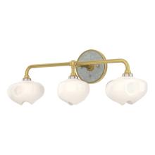 Hubbardton Forge - Canada 201342-SKT-86-82-FD0710 - Ume 3-Light Curved Arm Bath Sconce