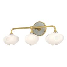 Hubbardton Forge - Canada 201342-SKT-86-85-FD0710 - Ume 3-Light Curved Arm Bath Sconce