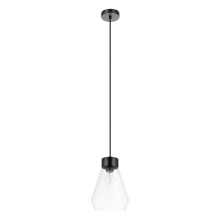 Eglo Canada 205325A - 1 LT Pendant w/ Matte Black Finish & Clear Glass Shade
